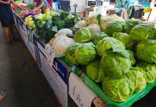 摆摊免费吃瓜,摆摊文化新潮流